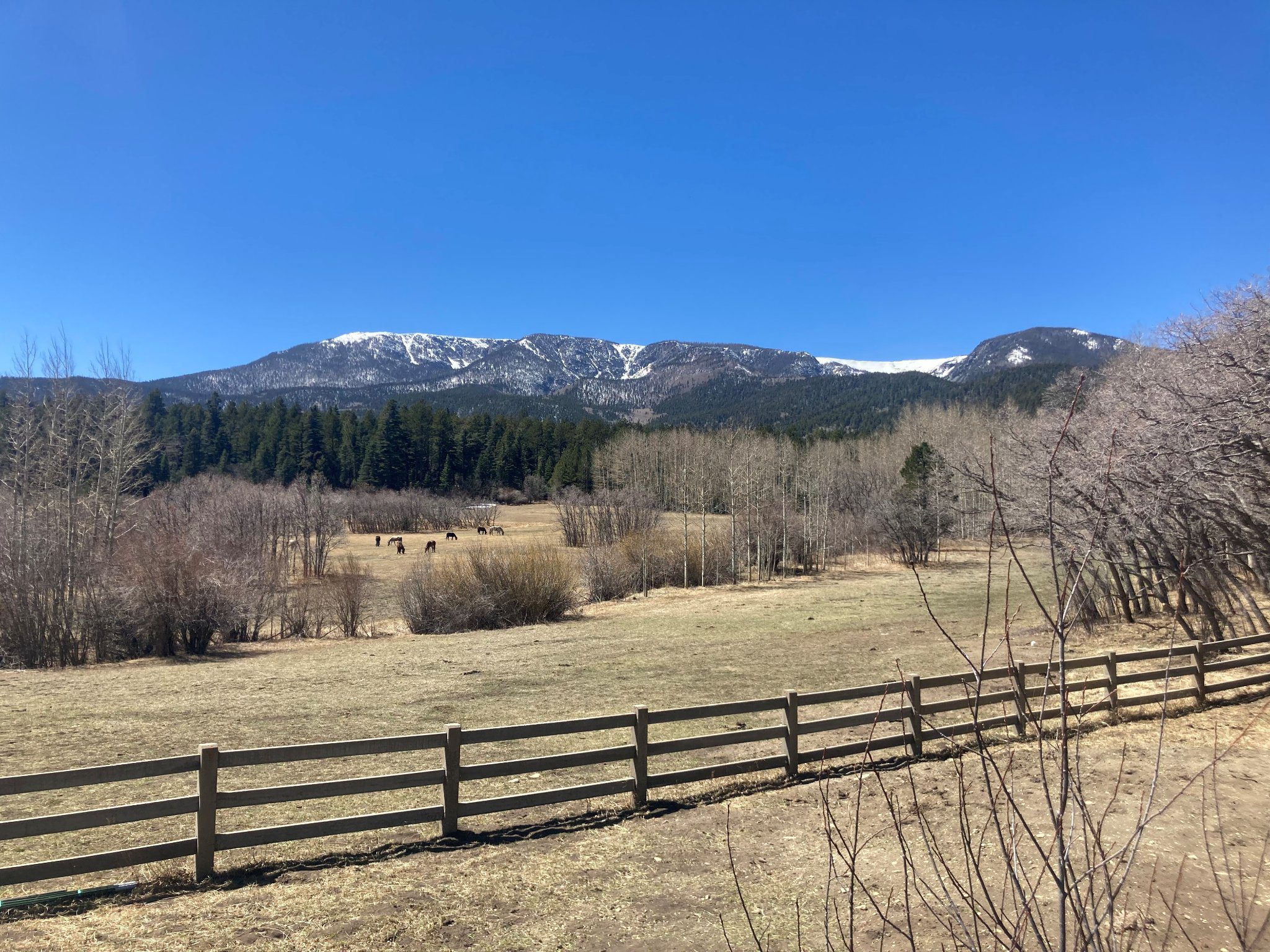 Buying A Property: Homestead & Prepper Property Checklist