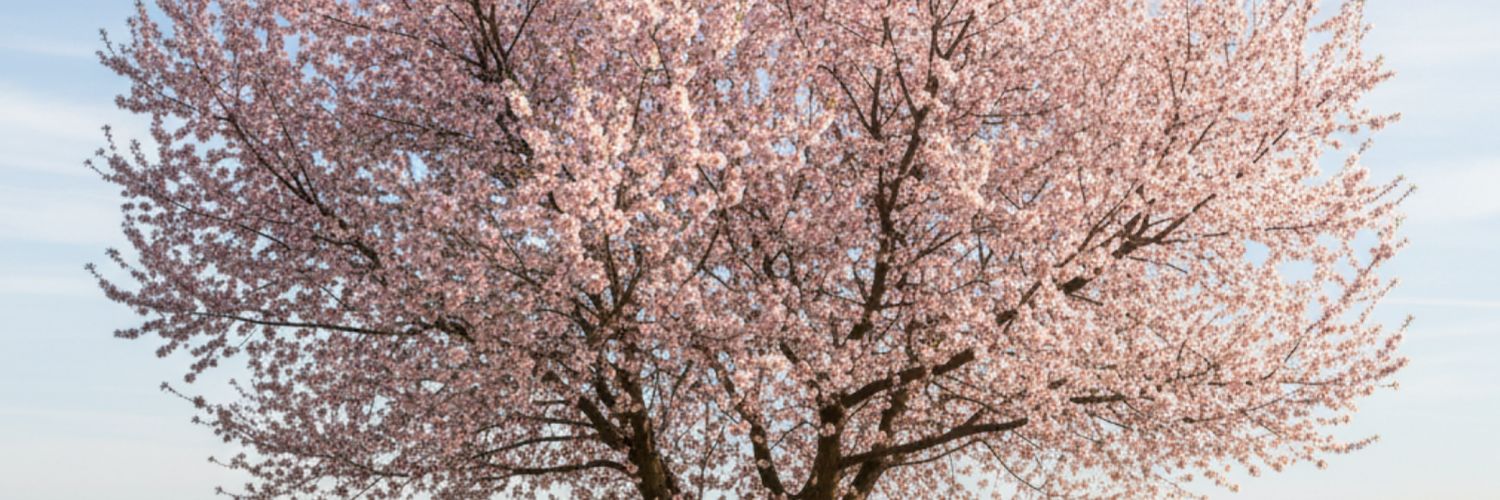 Almond: Hall’s Hardy – Cold-Tolerant, Self-Fertile, and Ornamental Nut Trees for Northern Climates